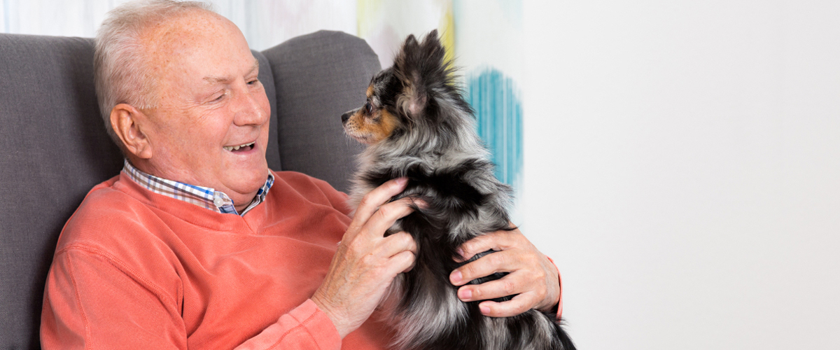 Does Assisted Living Allow Pets? Here’s Everything You Need To Know