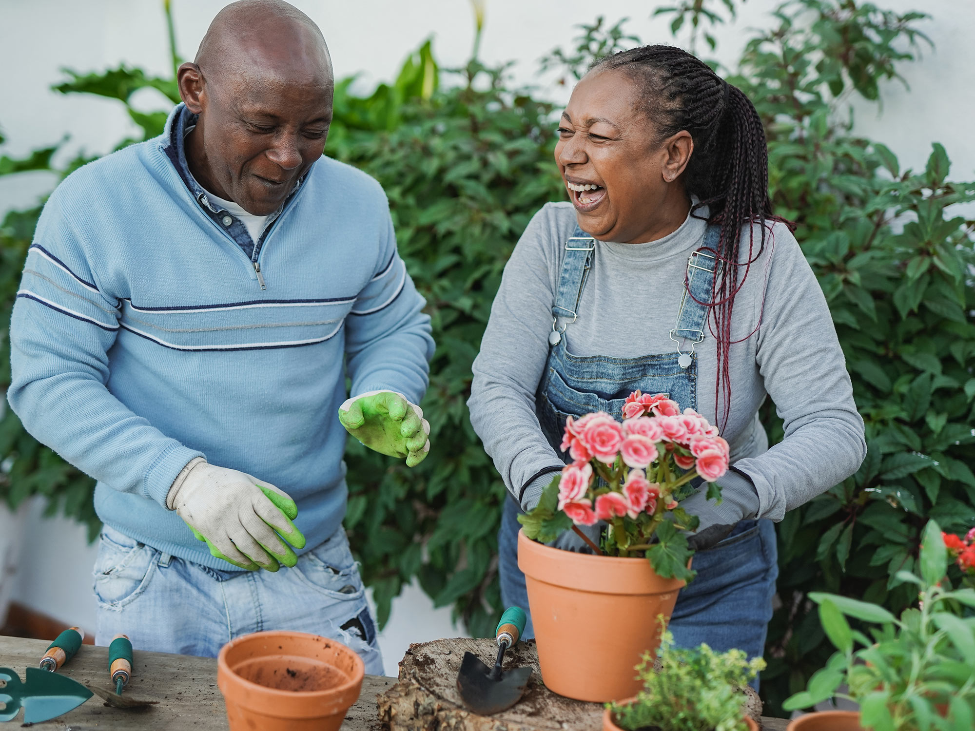 Senior couple gardening