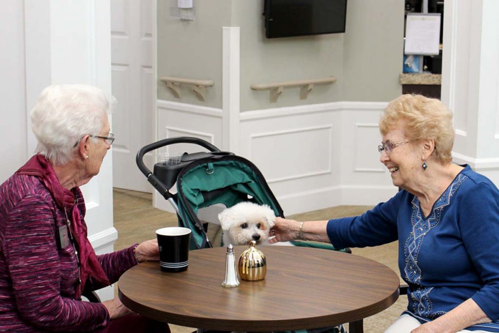 two residents chatting over coffee and petting a dog
