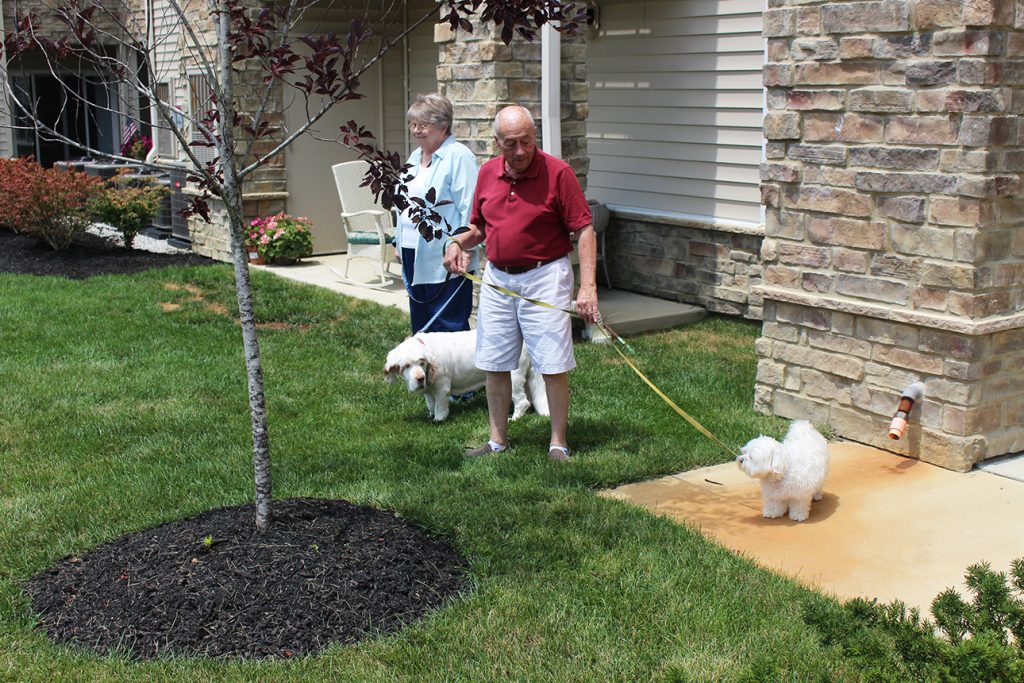 two residents walking their dogs in the courtyard and enjoying the sun