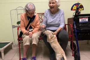 Residents Playing With Dog