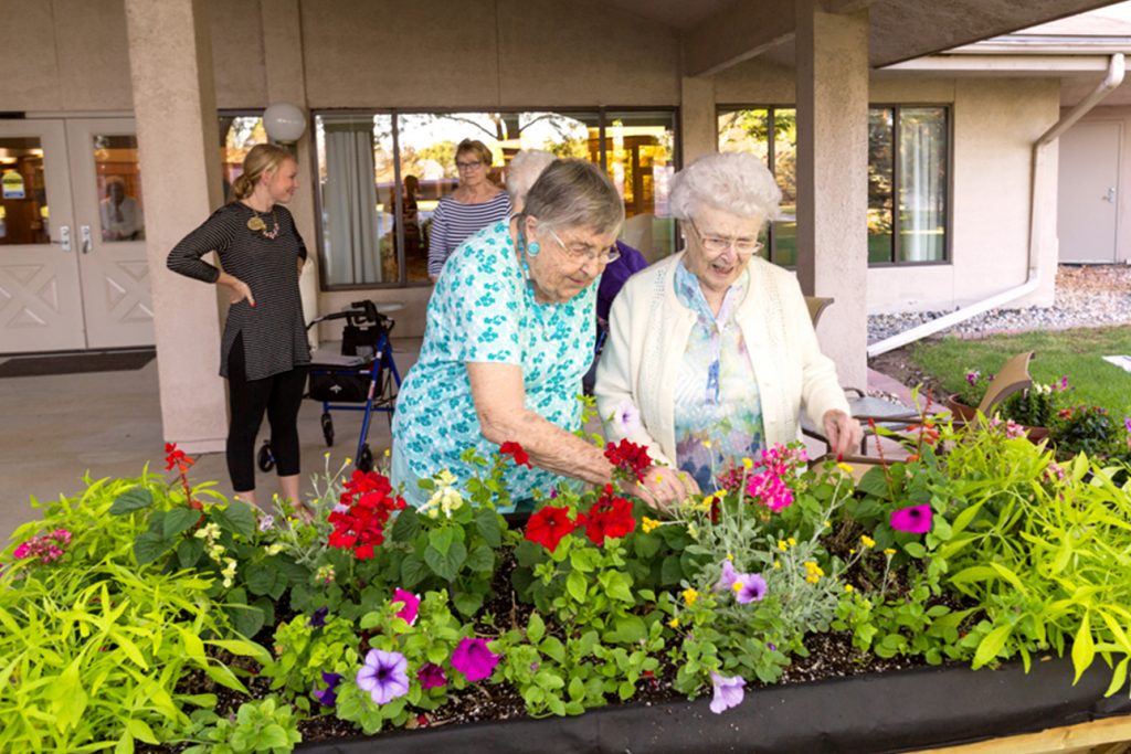 Assisted living residents enjoying some gardening in the assisted living community.