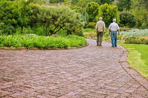 two senior men walking on path