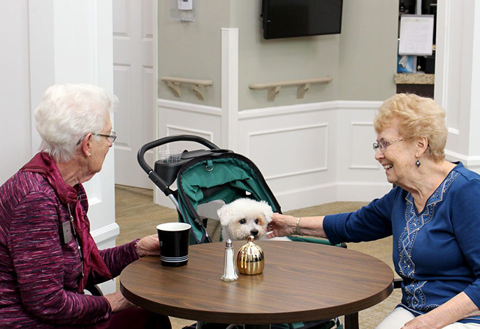 senior living residents having tea with a dog
