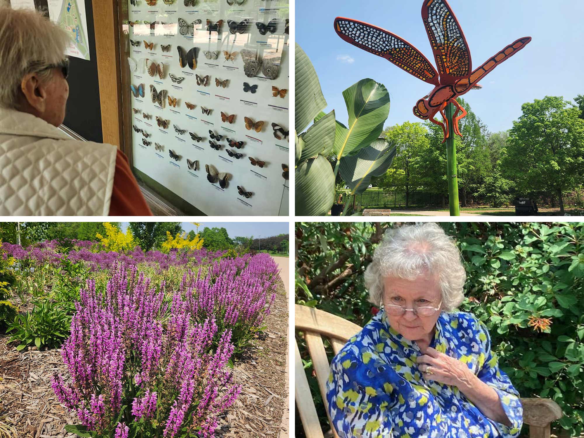 Collage of residents at the Ankeny Summerfest