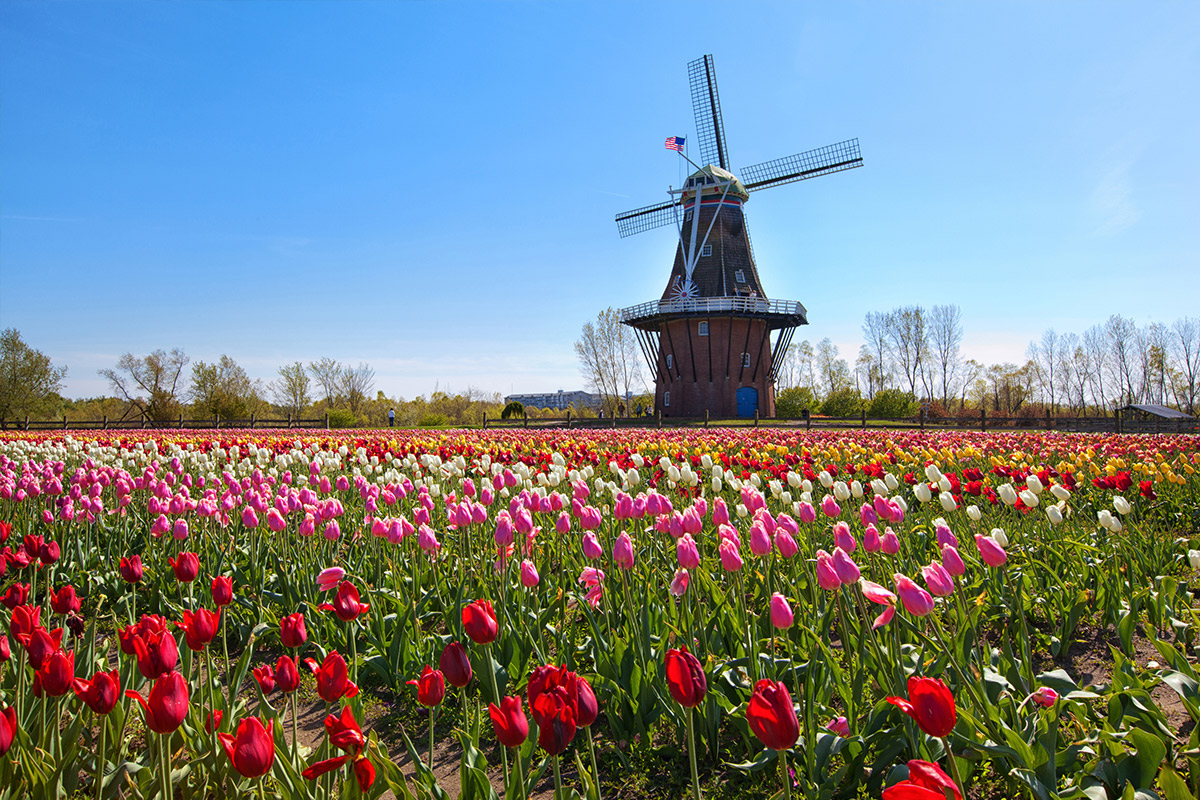 Windmill in holland Michigan