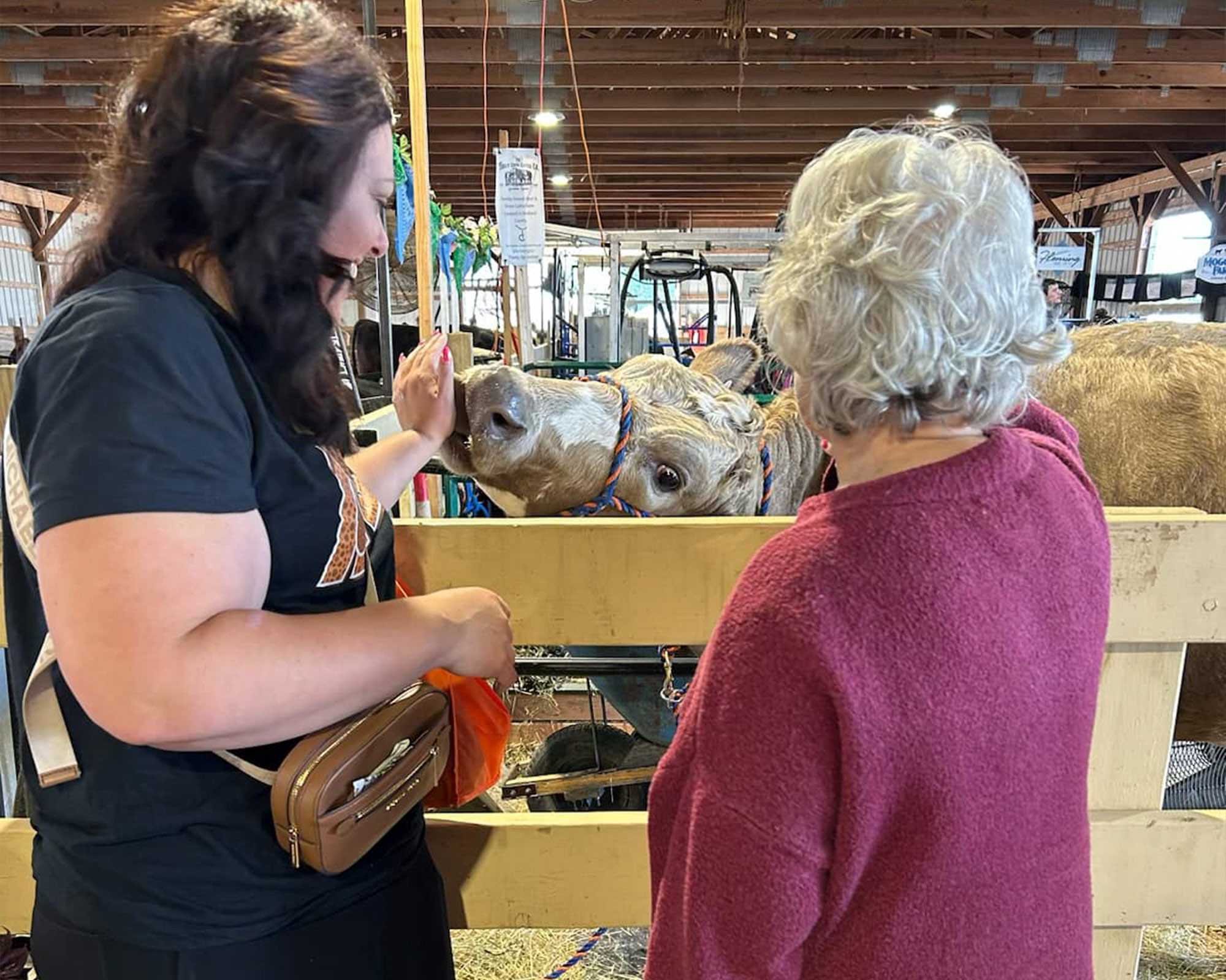 Leisure Living Candlestone Resident at the fair