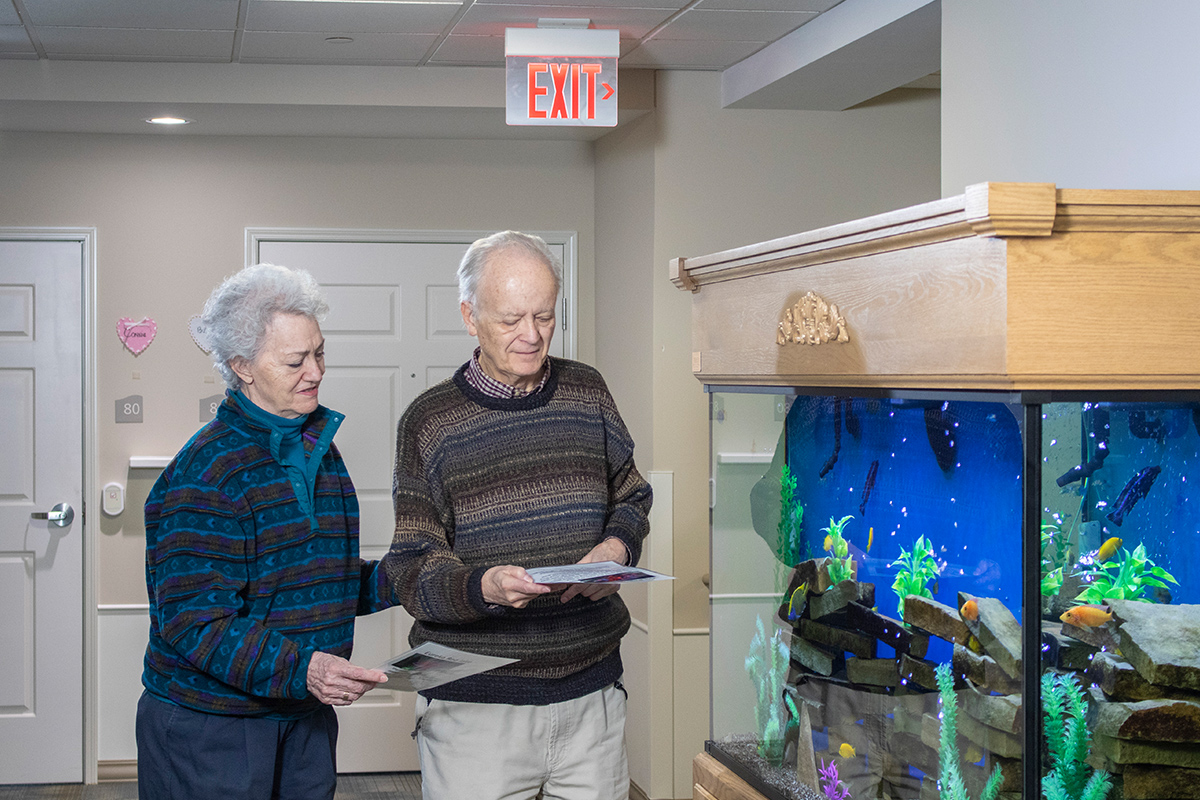 seniors looking at a fish tank