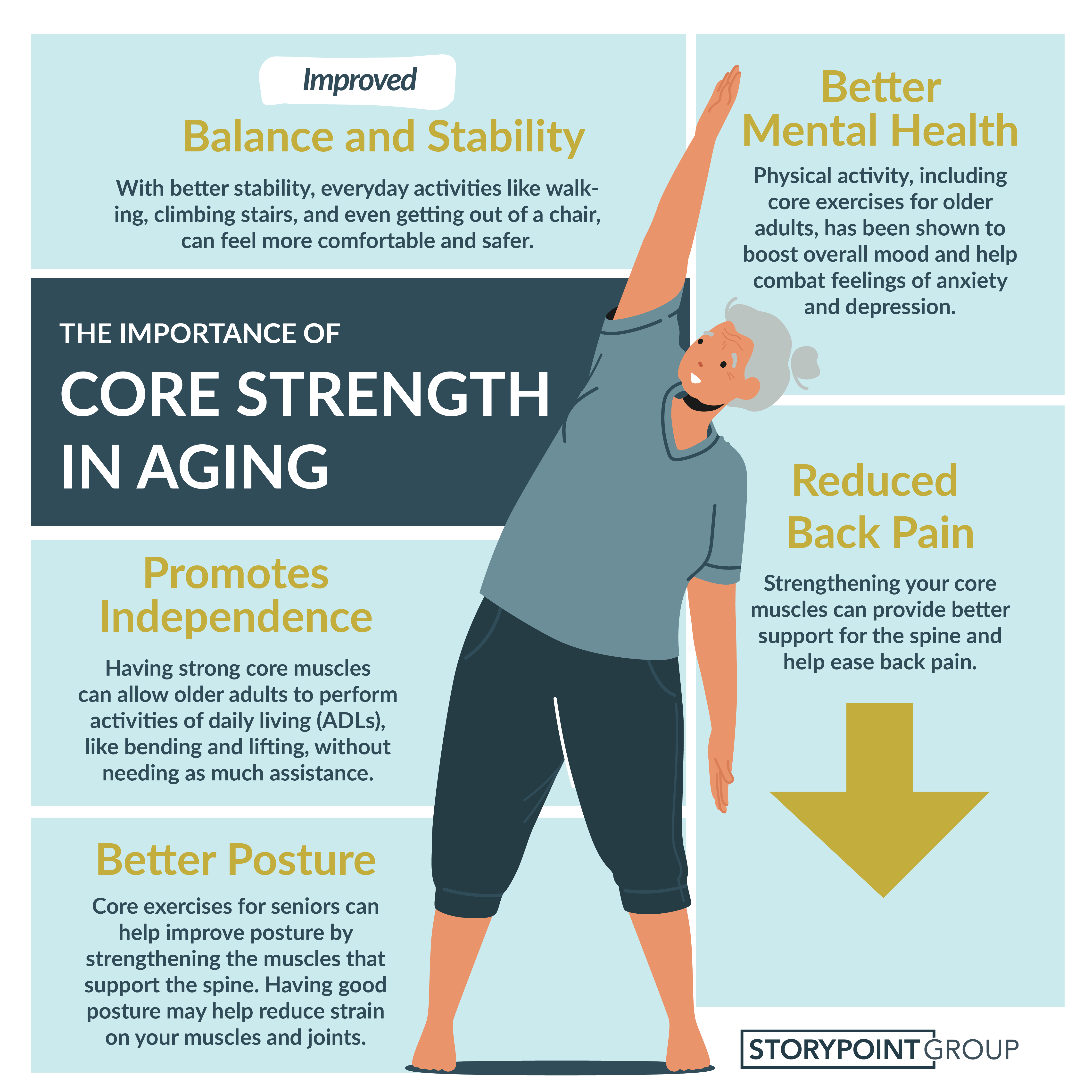 an infographic about the importance of core exercises for seniors 