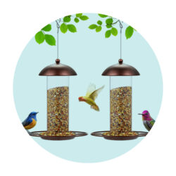 Bird feeder