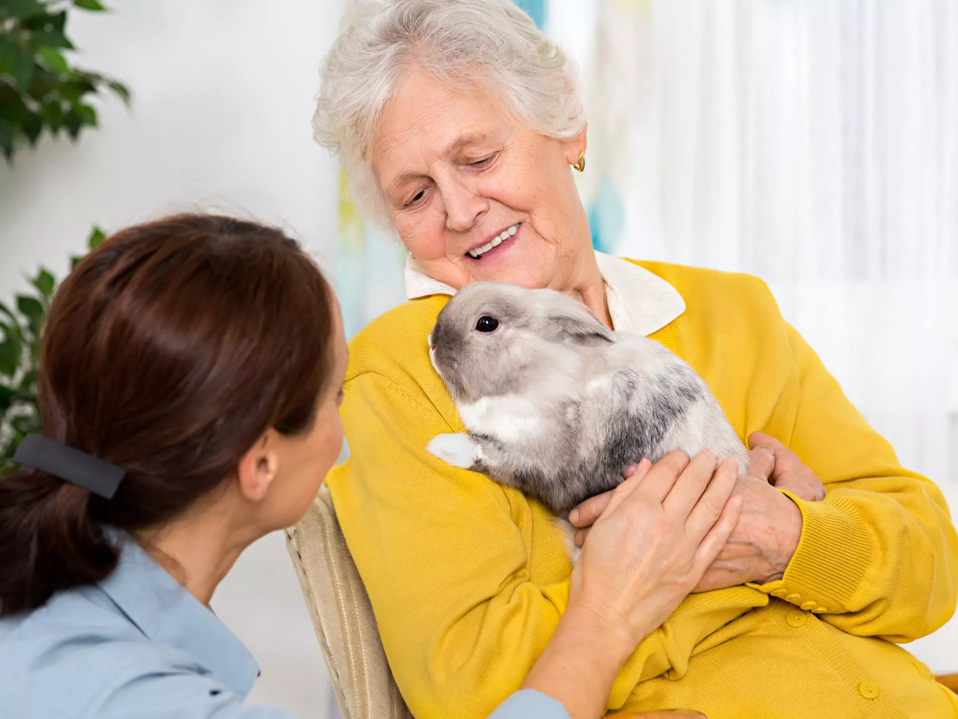 A senior woman holding a rabbit.