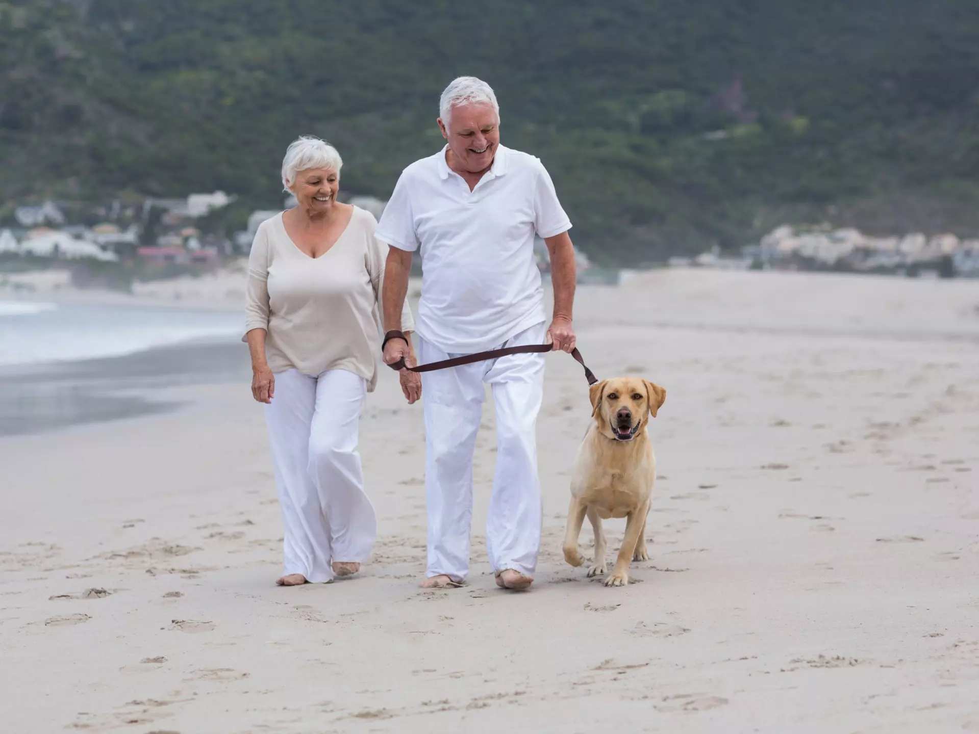 Senior couple walking on the beach with dog