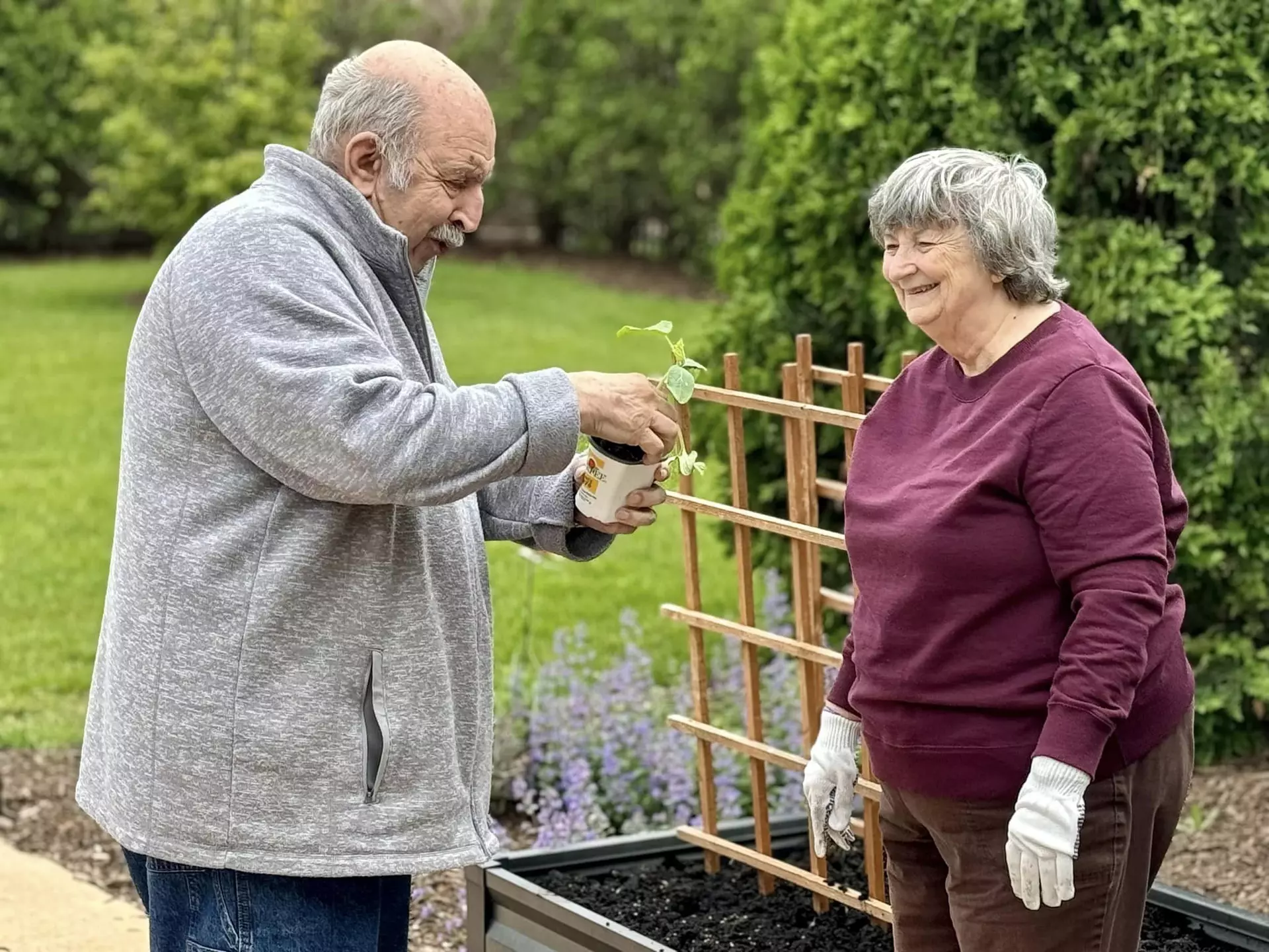 Two seniors happily observing a small plant in it's nursery container.